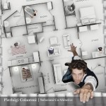 Soluzioni Co-Abitative pierluigi colantoni